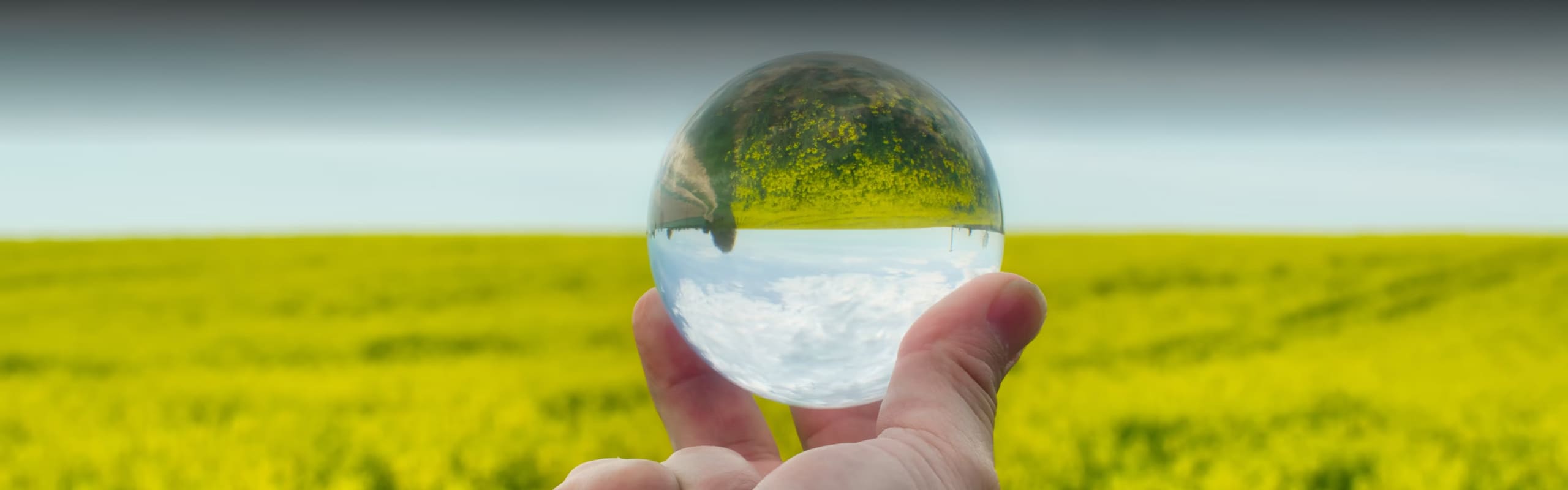 Banner Soluciones Oleoquímicas BioD