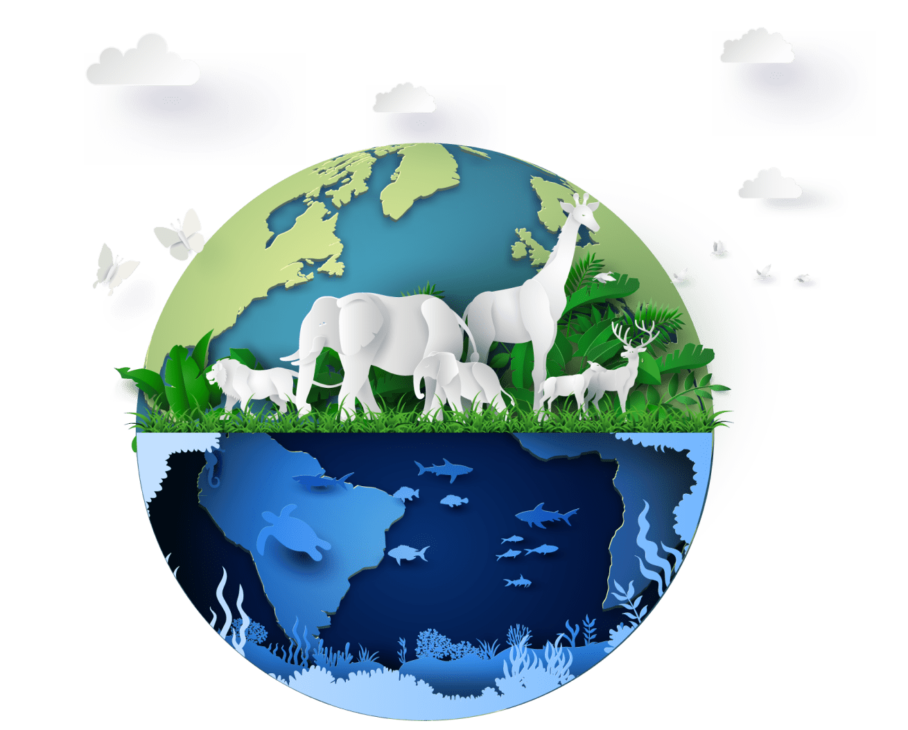 Informes de gestión empresarial BioD