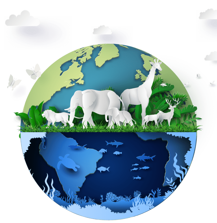 Informes de gestión empresarial BioD