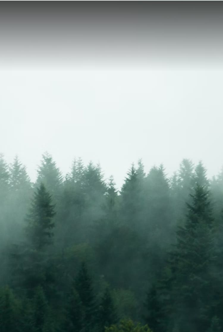 Banner Certificaciones BioD