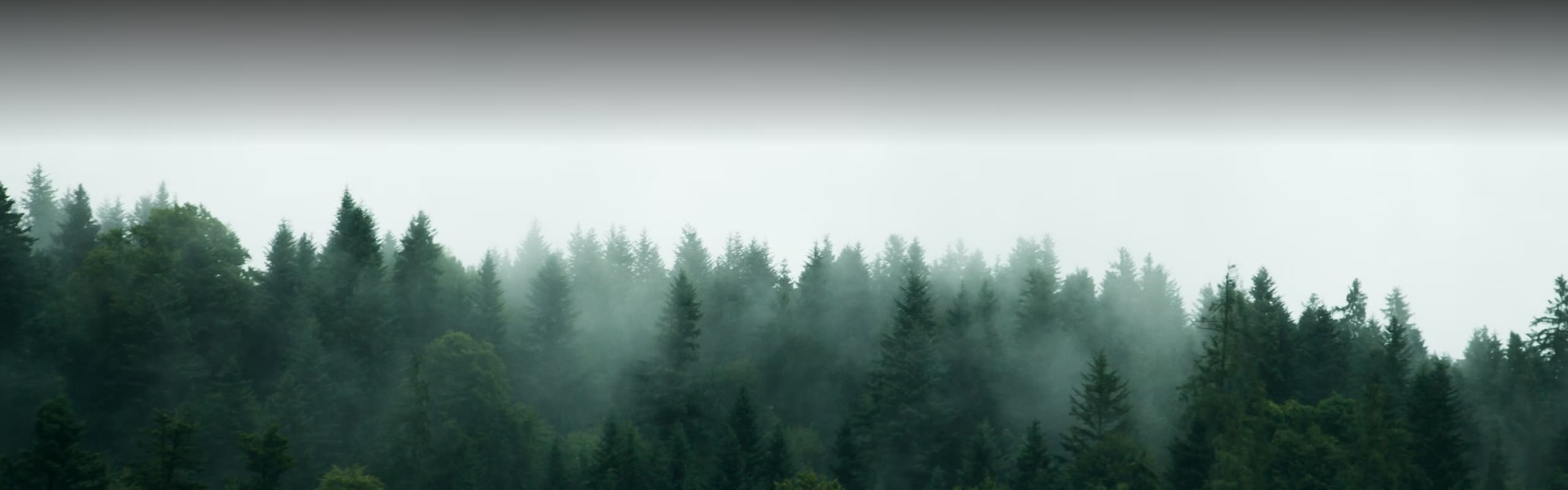 Banner Políticas BioD