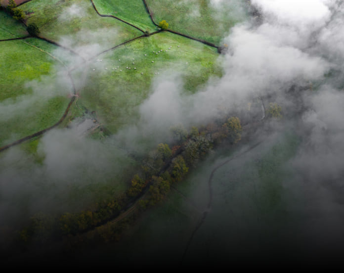 30% reducción de emisiones BioD