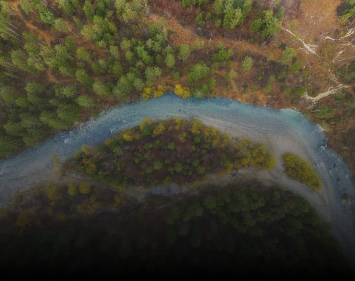 Carbono Neutralidad BioD