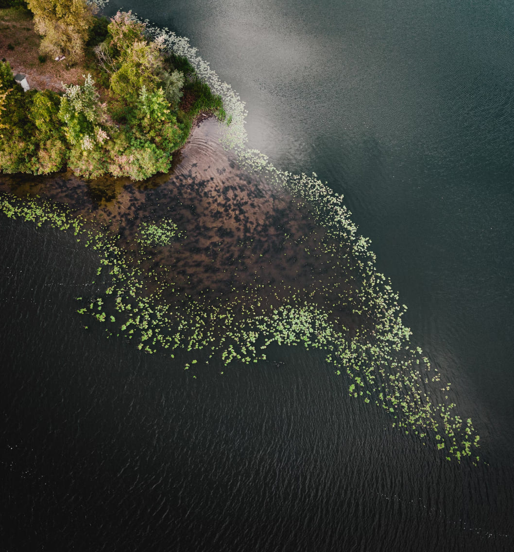 Compromiso Cero Deforestación​ BioD