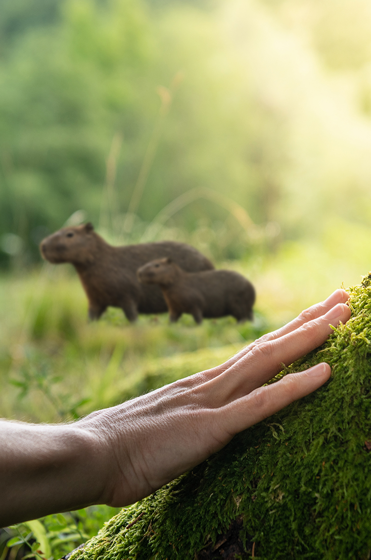 Banner Impacto en el Planeta BioD