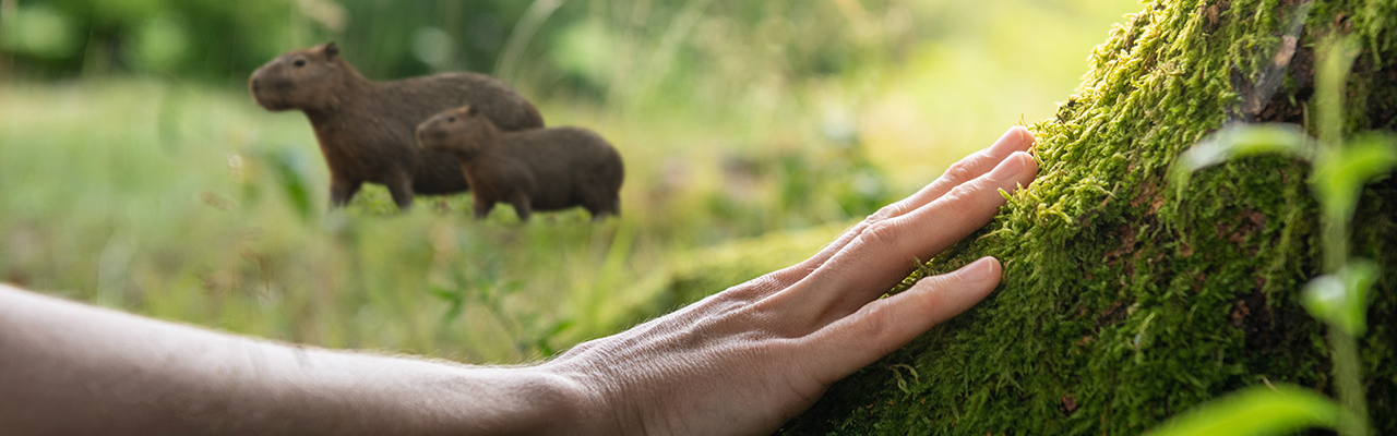 Banner Impacto en el Planeta BioD