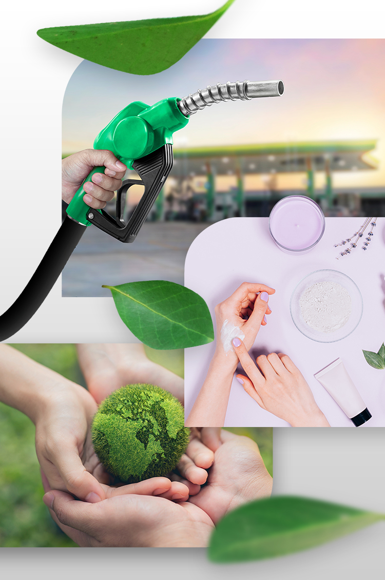 Banner Nuestros Negocios BioD