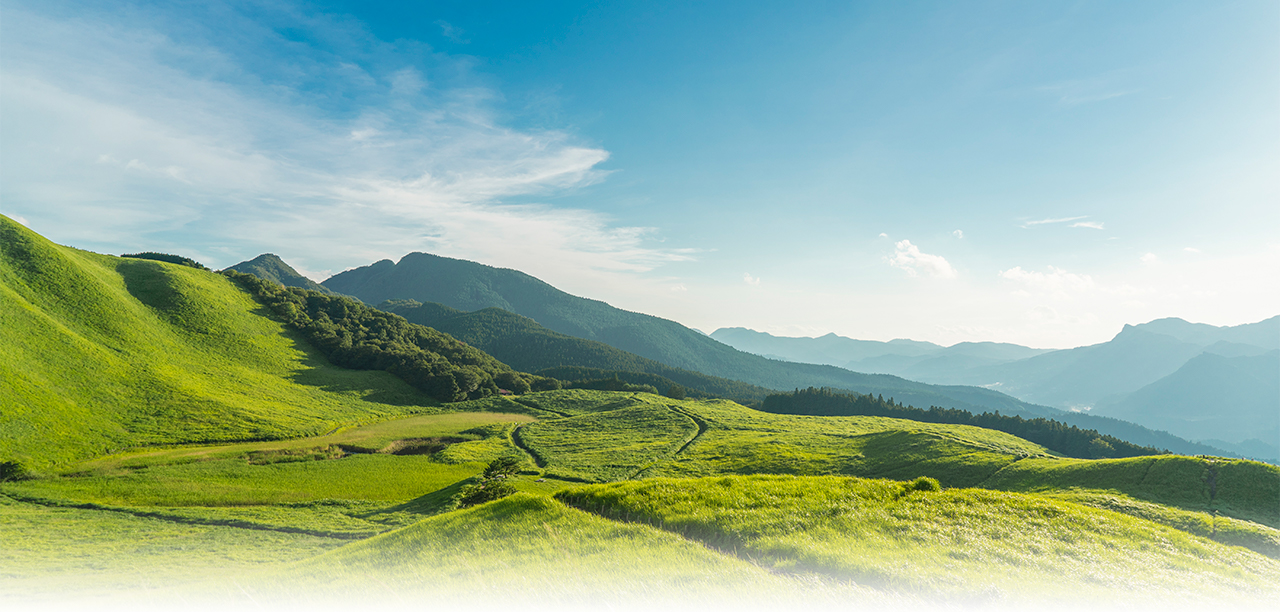 Banner Emissions calculator BioD